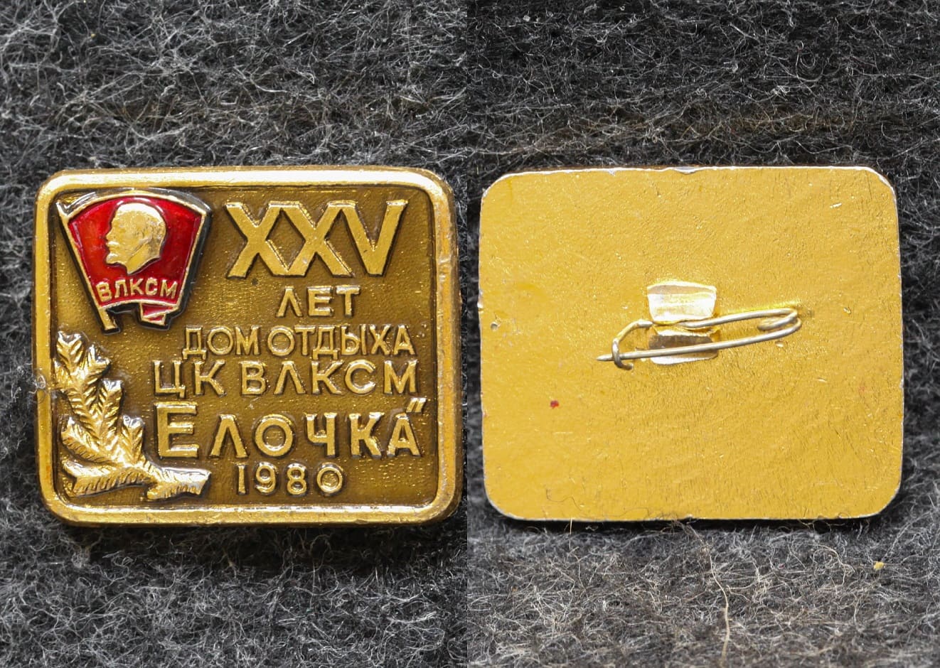 Знак Дом отдыха ЦК ВЛКСМ Ёлочка 25 лет 1980 год от Аукциона Значки и Знаки