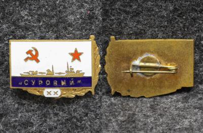 Знак ВМФ Эсминец Суровый 20 лет