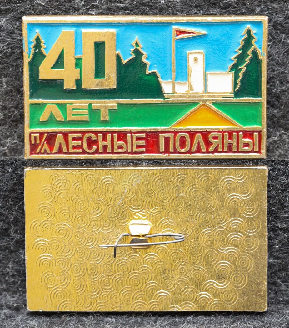 Знак Пионерский лагерь Лесные поляны 40 лет от Аукциона Значки и Знаки