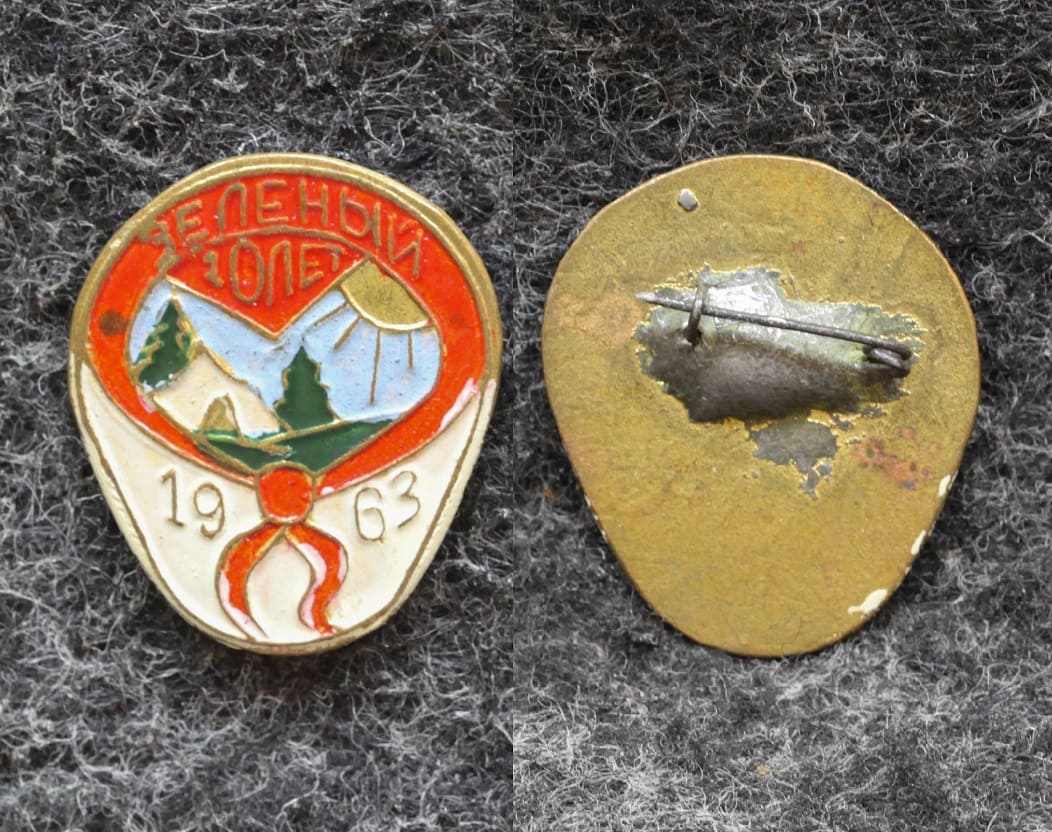 Знак Пионер лагерь Зелёный 20 лет 1963 год от Аукциона Значки и Знаки