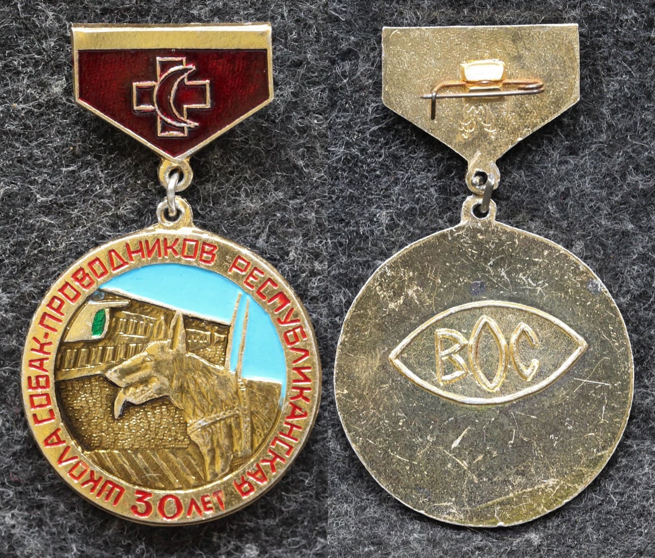 Знак Республиканская школа собак-проводников 30 лет от Аукциона Значки и Знаки