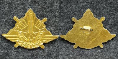 Знак ЧУБП 40 лет