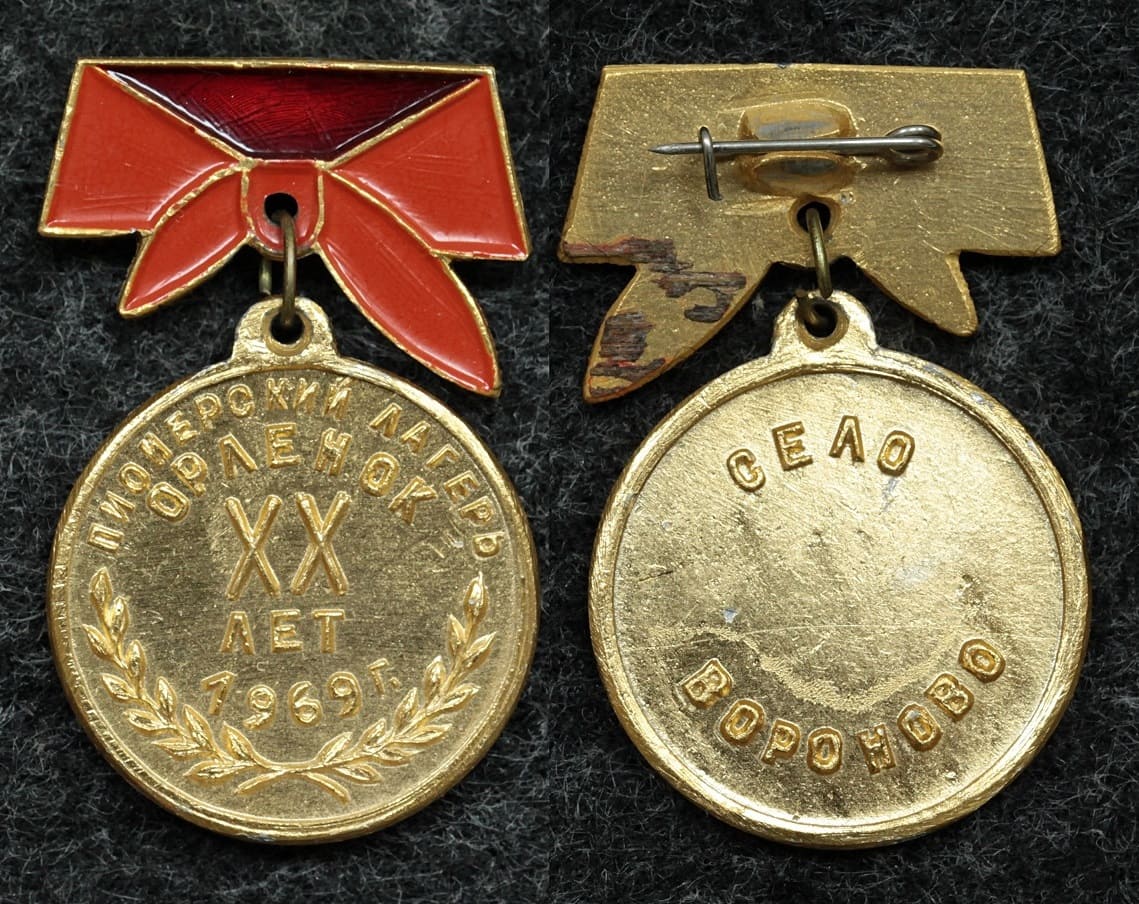 Знак Пионерский лагерь Орлёнок 20 лет село Вороново от Аукциона Значки и Знаки