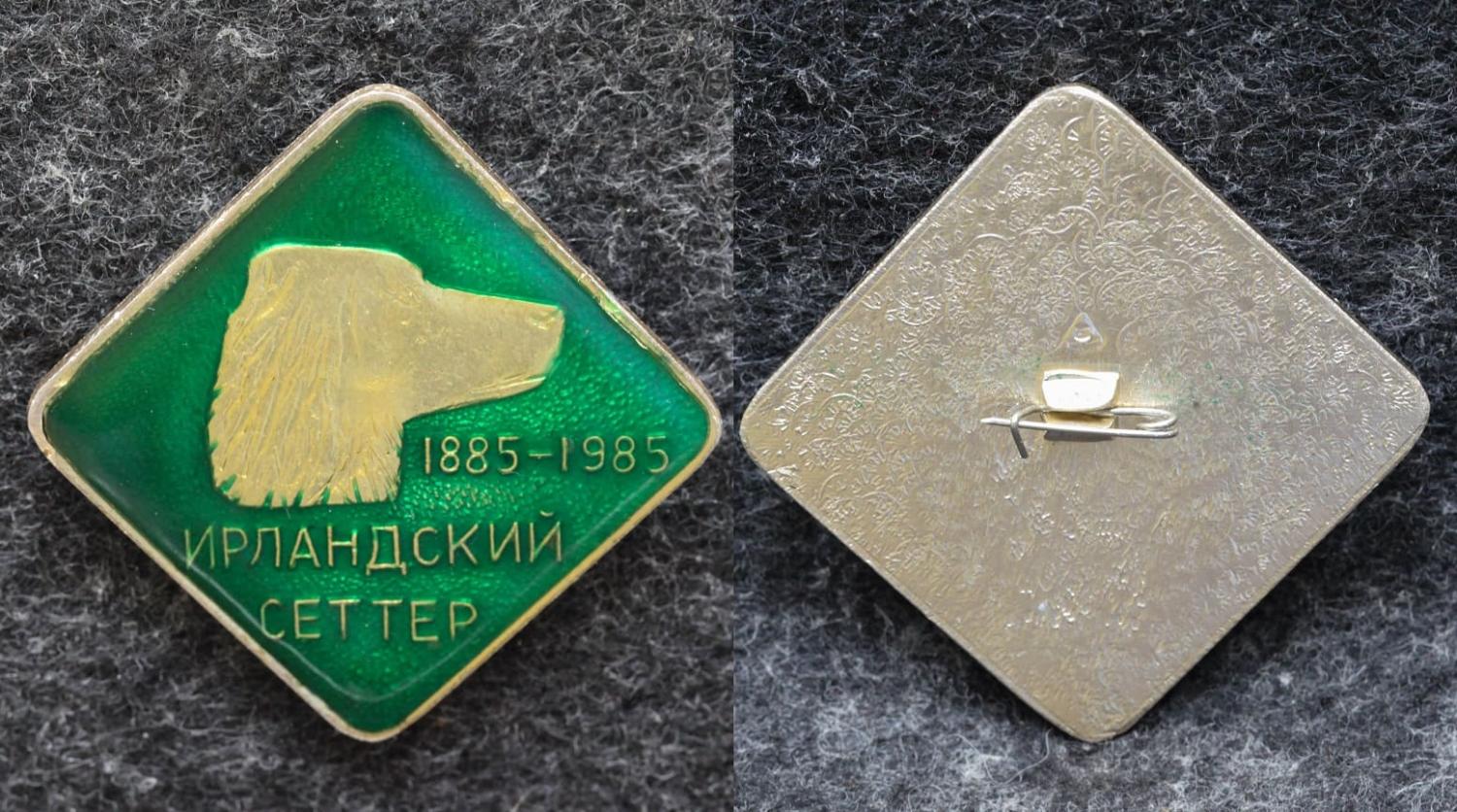 Знак Выставка МОО и Р 100 лет Ирландского Сеттера от Аукциона Значки и Знаки