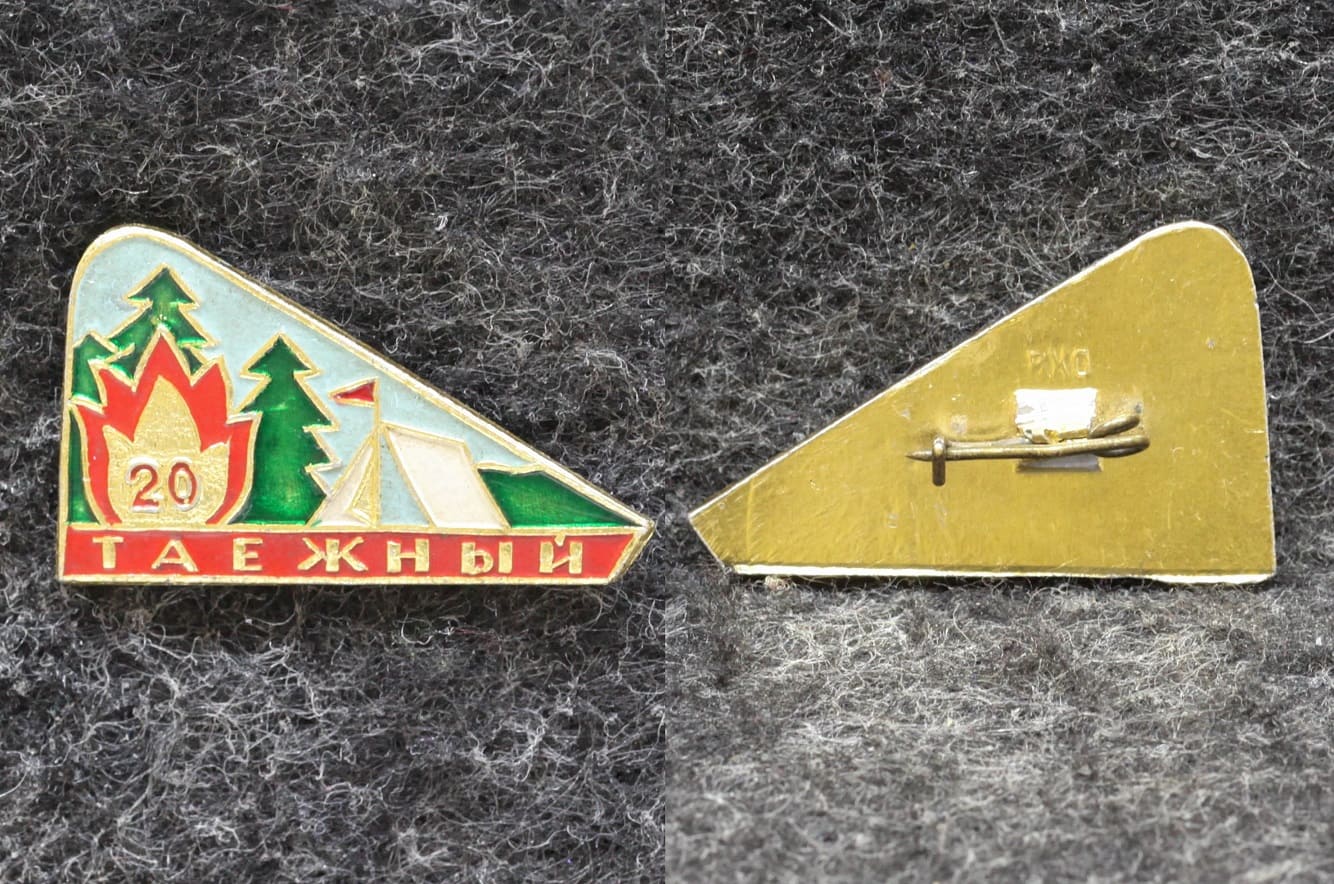 Знак Пионерский лагерь Таёжный 20 лет от Аукциона Значки и Знаки