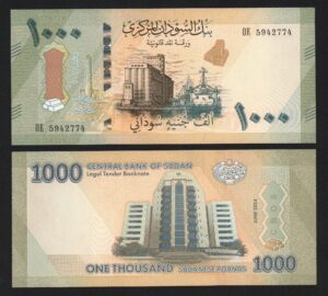 купить Банкнота Судан 1000 фунтов 2024 год