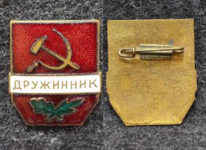 Знак Дружинник